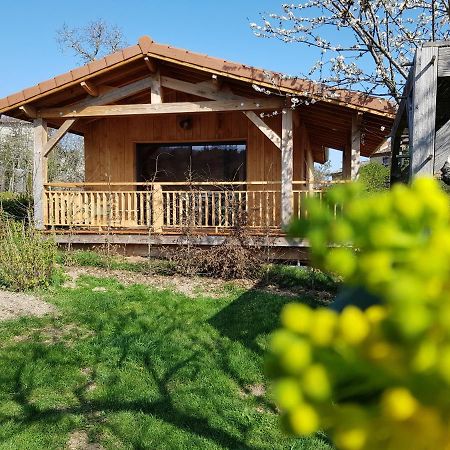 La Cabane Du Jardin Bongheat Bagian luar foto