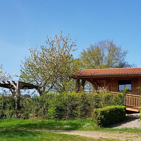 La Cabane Du Jardin Bongheat Bagian luar foto