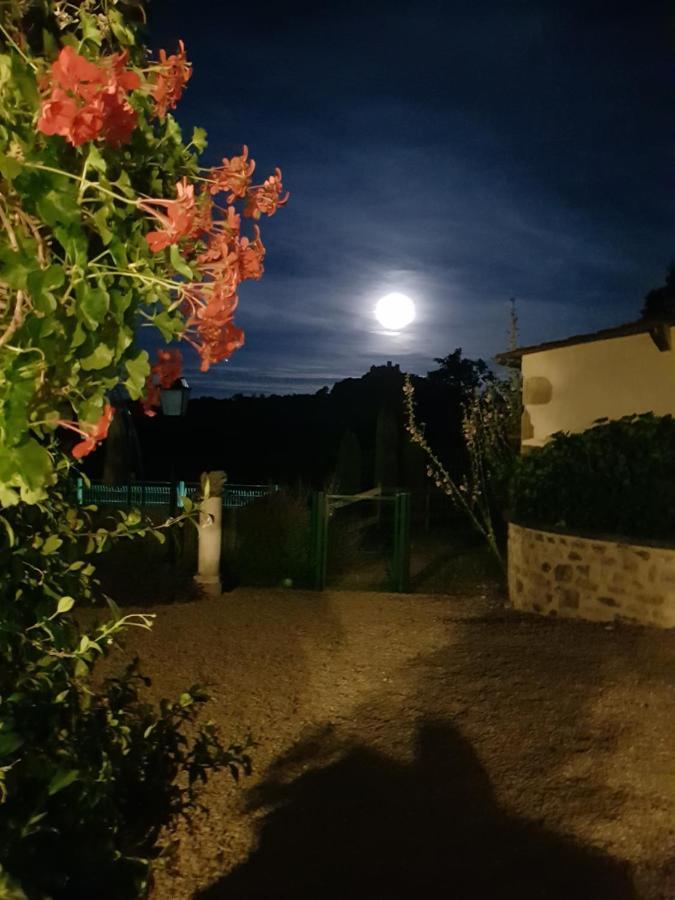 La Cabane Du Jardin Bongheat Bagian luar foto